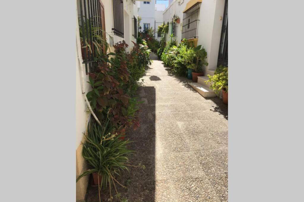 Apartamento Con Azotea Privada Para Parejas Y Familias Conil De La Frontera Exterior photo